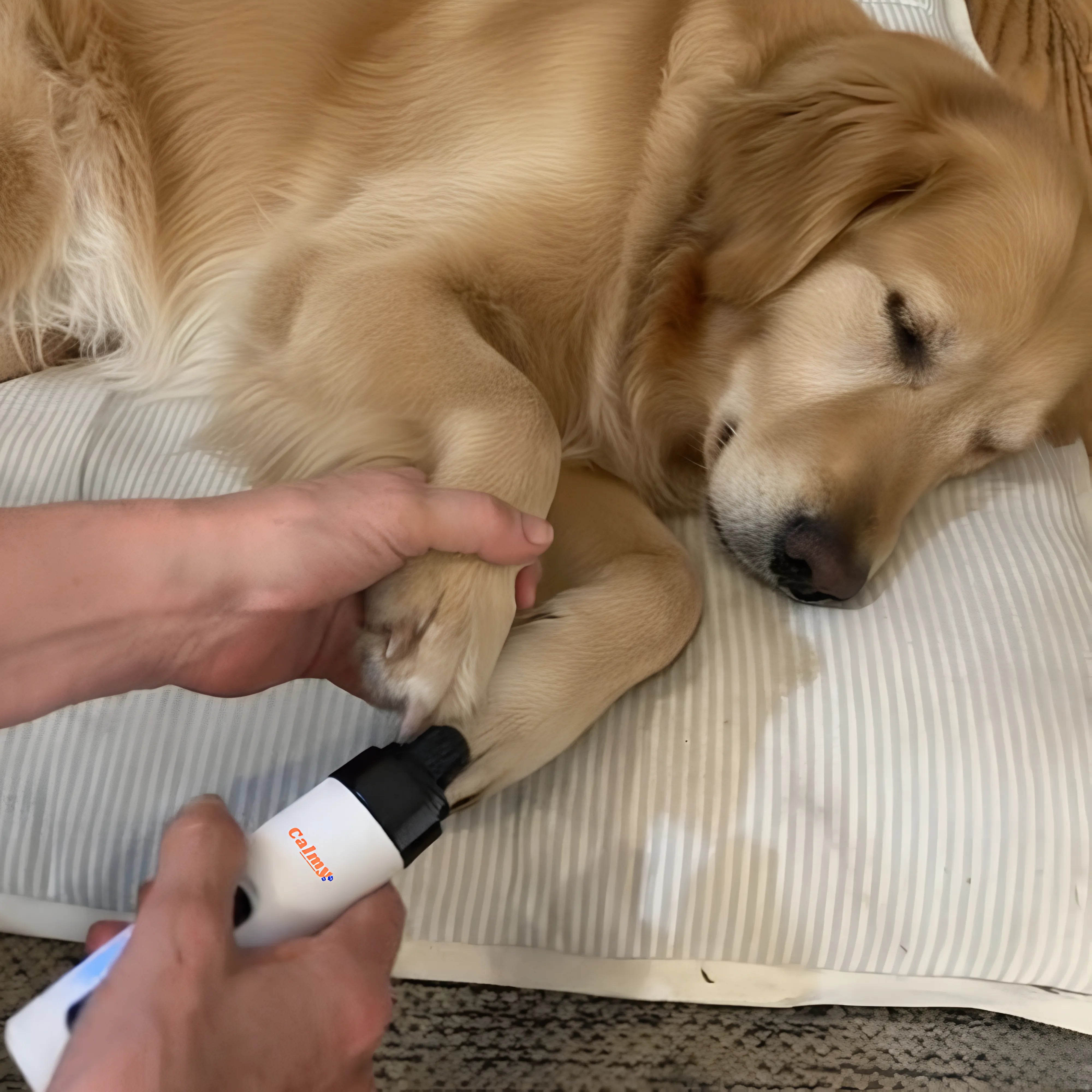 Calmy® : Il Lima Unghie per Animali Ultra Silenzioso e Sicuro